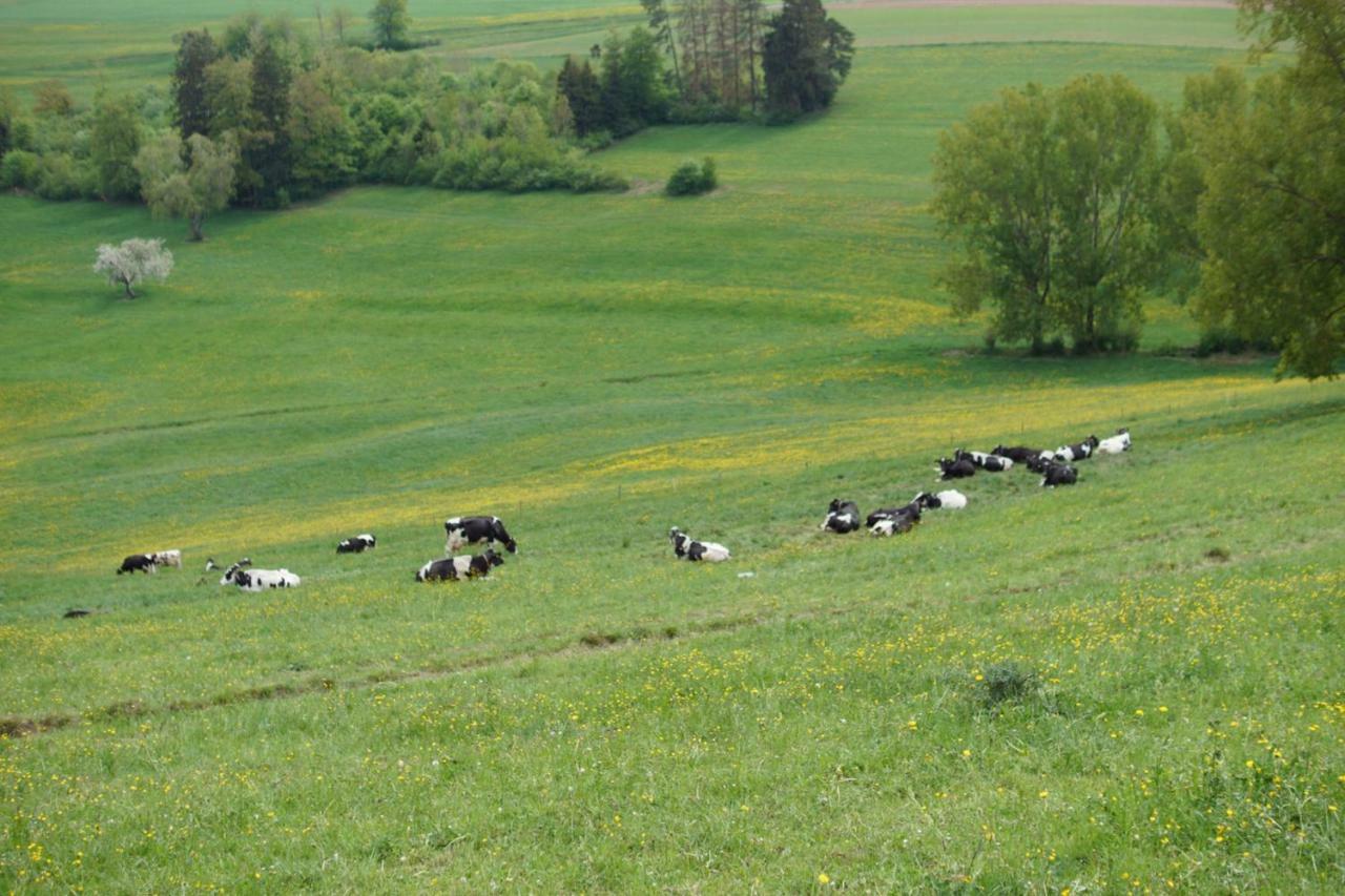 Ferienwohnung Fernblick auf dem Bauernhof Bannholz Exterior foto